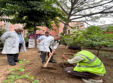 World Environment Day 2026