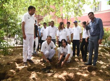 Yoga Day Celebration and Green Initiative through Plantation Drive at Lok Nayak Hospital