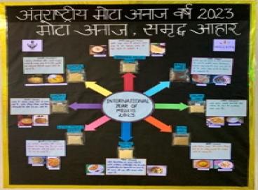 International year of millets 2023